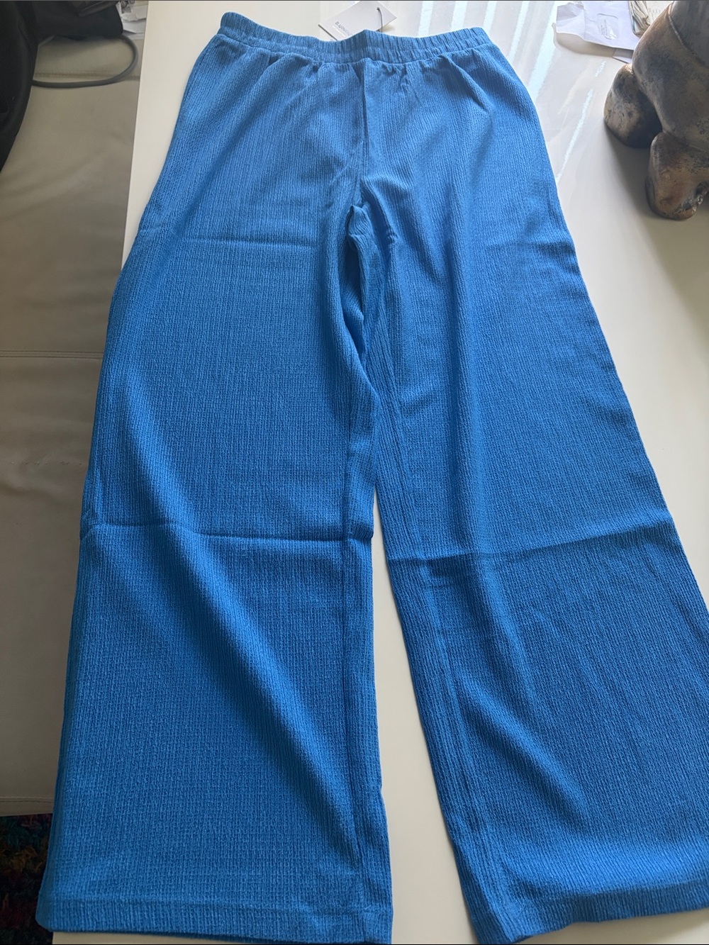 Blue Women xs wide Leg Pants
